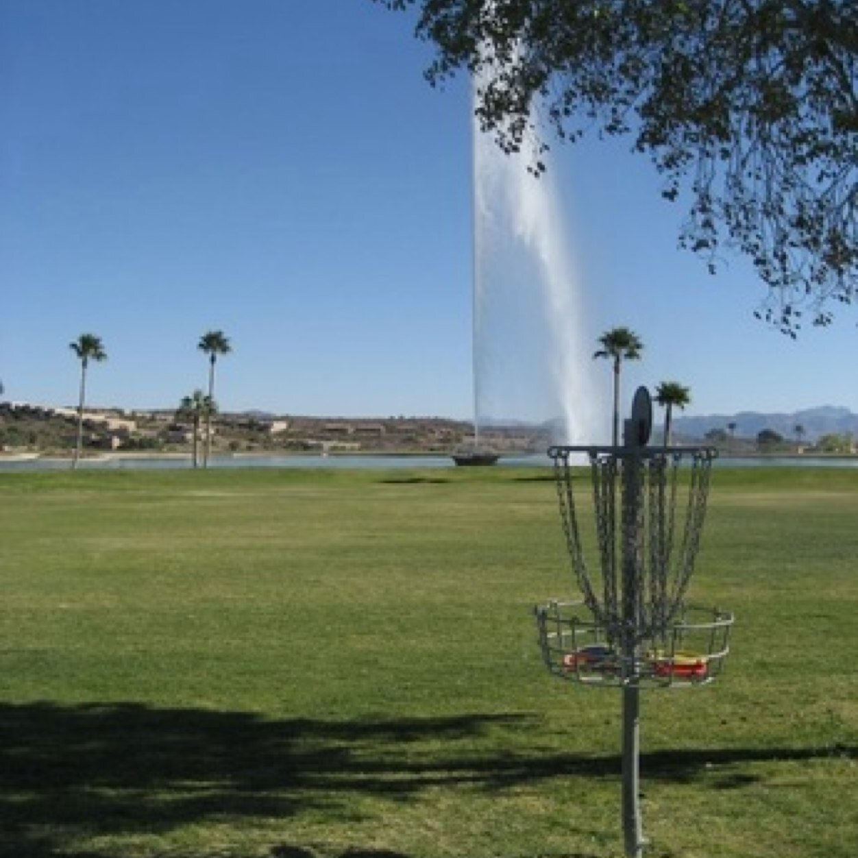 JoshFaber77's profile picture. 