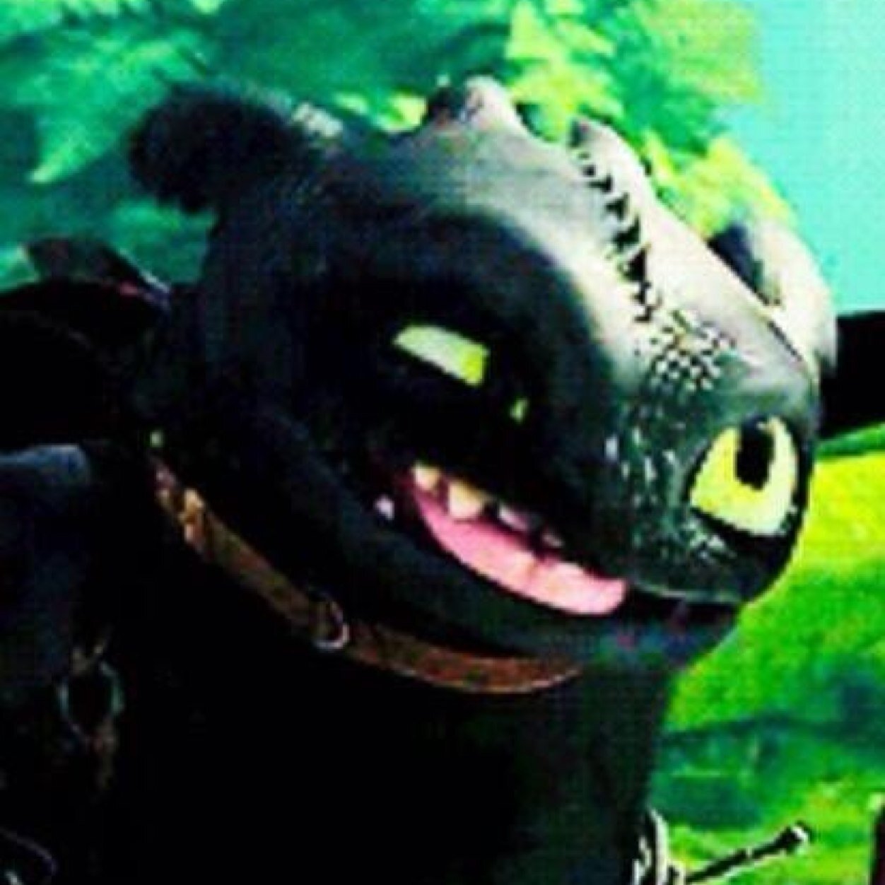 BerksToothless's profile picture. Im a night fury dont fuck with me ||my rider:@httyd_hiccup|| ||TAKEN|| by the beautiful @NightfuryTammy I love her ❤️|| ||hurt them I hurt you *growls*||