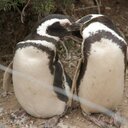 Al Lanz - @Lanz123456 - Twitter