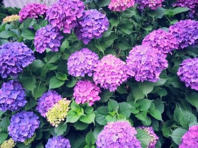 azainagamasa713's profile picture. 최애들과 행복하고 잉여하게 살고 싶은 덕후새기
성인/잡덕/최애는 적립식