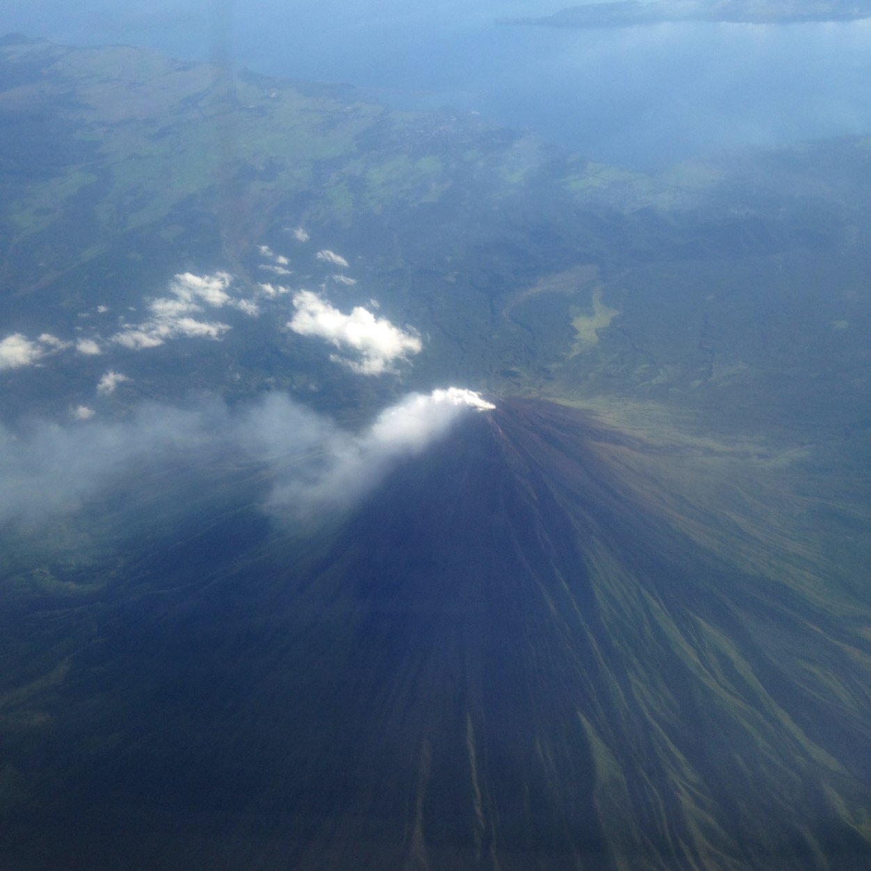 rheddee's profile picture. 