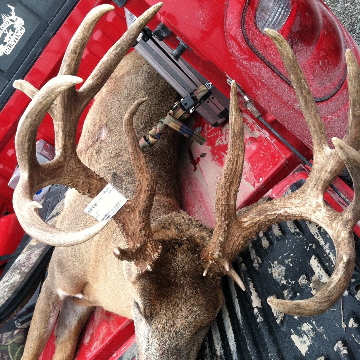 Hunting freak! Big buck extrodinair. I wear camo underwear and rub deer pee on my boots. guess im ate up with it!! Also a team member for @DZOTV check us out!