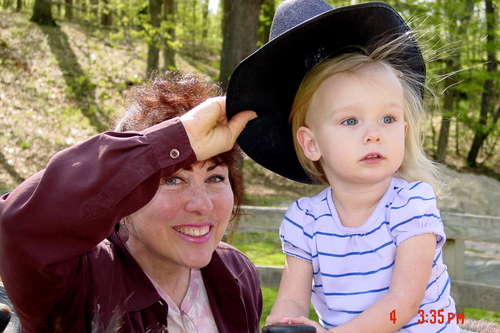 horsebedder's profile picture. 