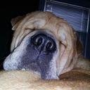 juili68's profile picture. 