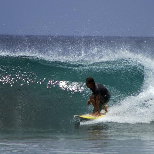 Surfing, Stand Up Paddling, Watersports, Creativity and Hard Work