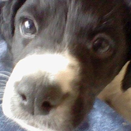 ChtiGamerzz's profile picture. 