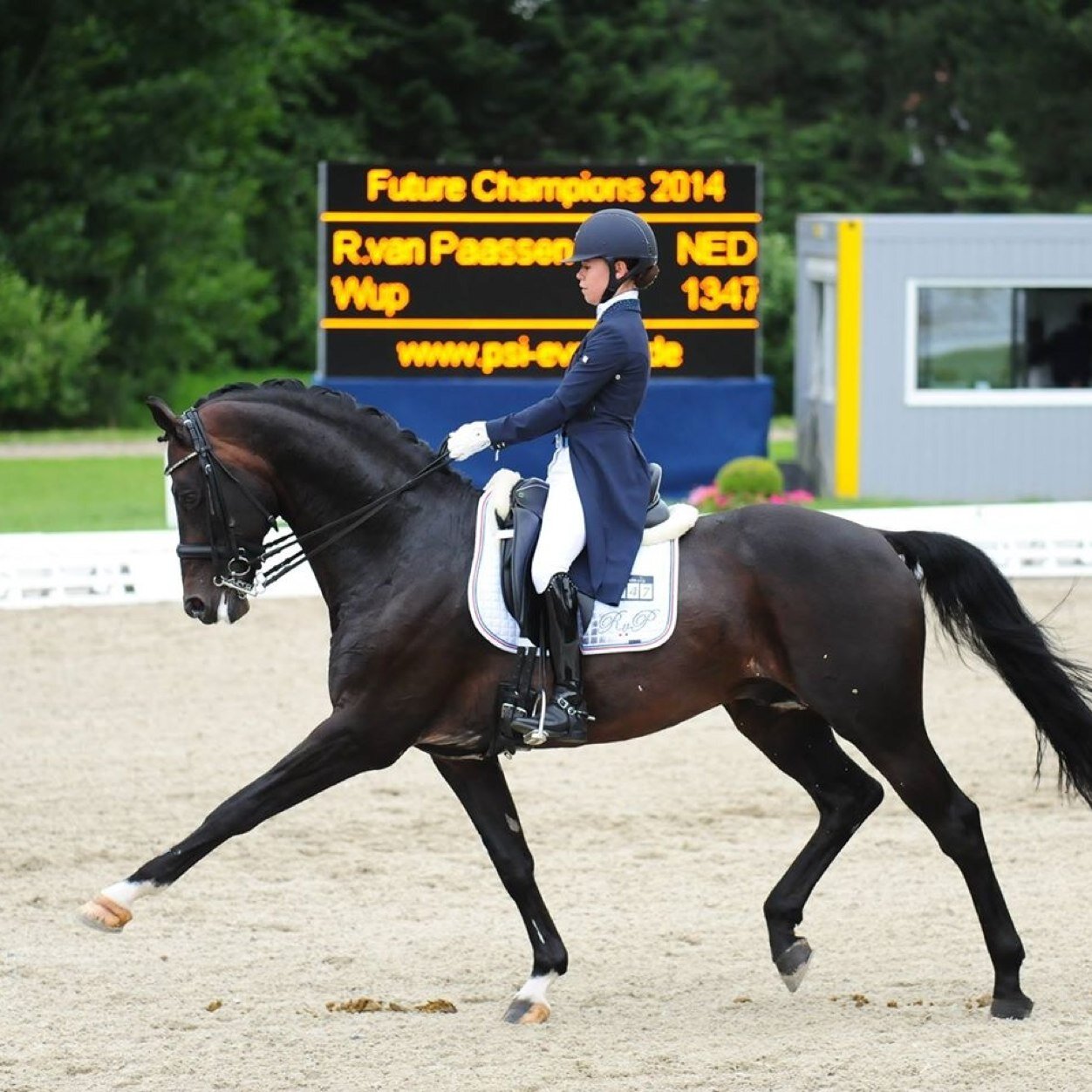 14 jaar| Keulse Hoeve's Zico, Double White| Z2 Dressuur| Zilver op de Nederlandse kampioenschappen Z1| Libanon Lyceum| Altijd gek doen met mijn schatjes!