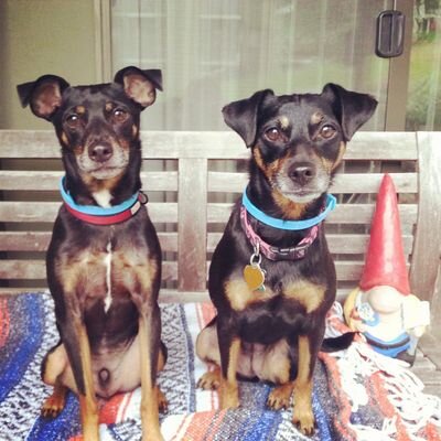 olabelmonte's profile picture. 