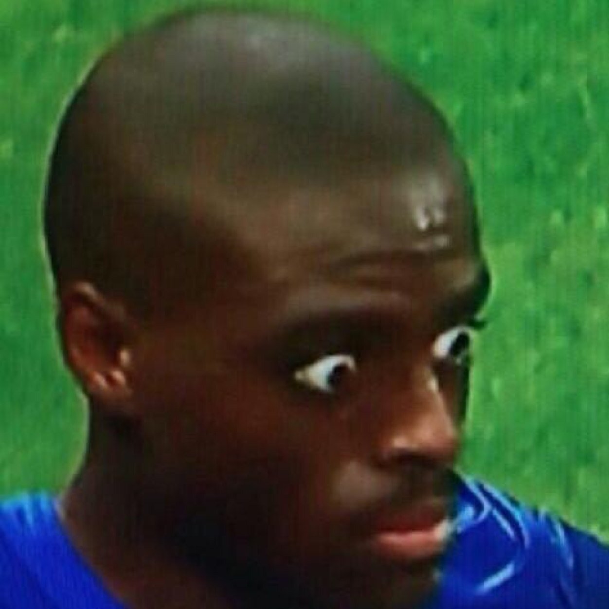 Alle feiten over het beest Bruno Martins Indi !