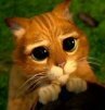 скины для css карты для css