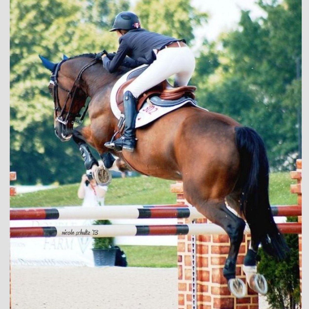 17, 16.1h tb jumper. Mainly jumpers some hunters. New anon. Zone 4
