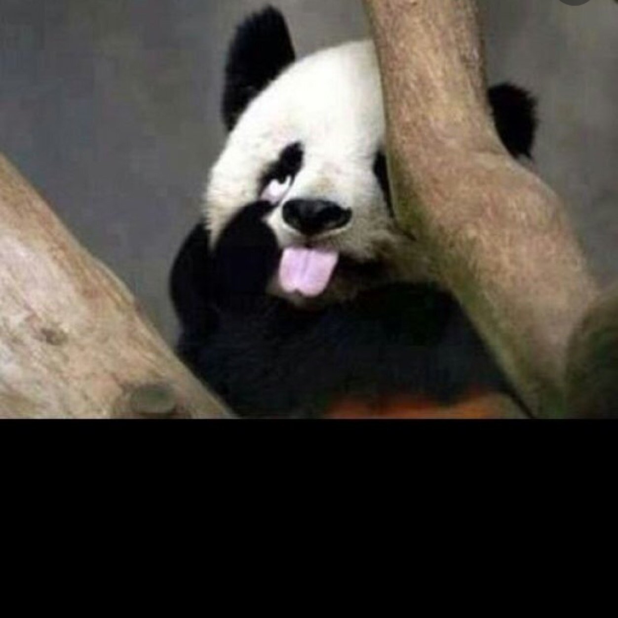 wawanp's profile picture. 