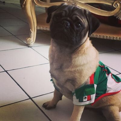 anasgarc's profile picture. 