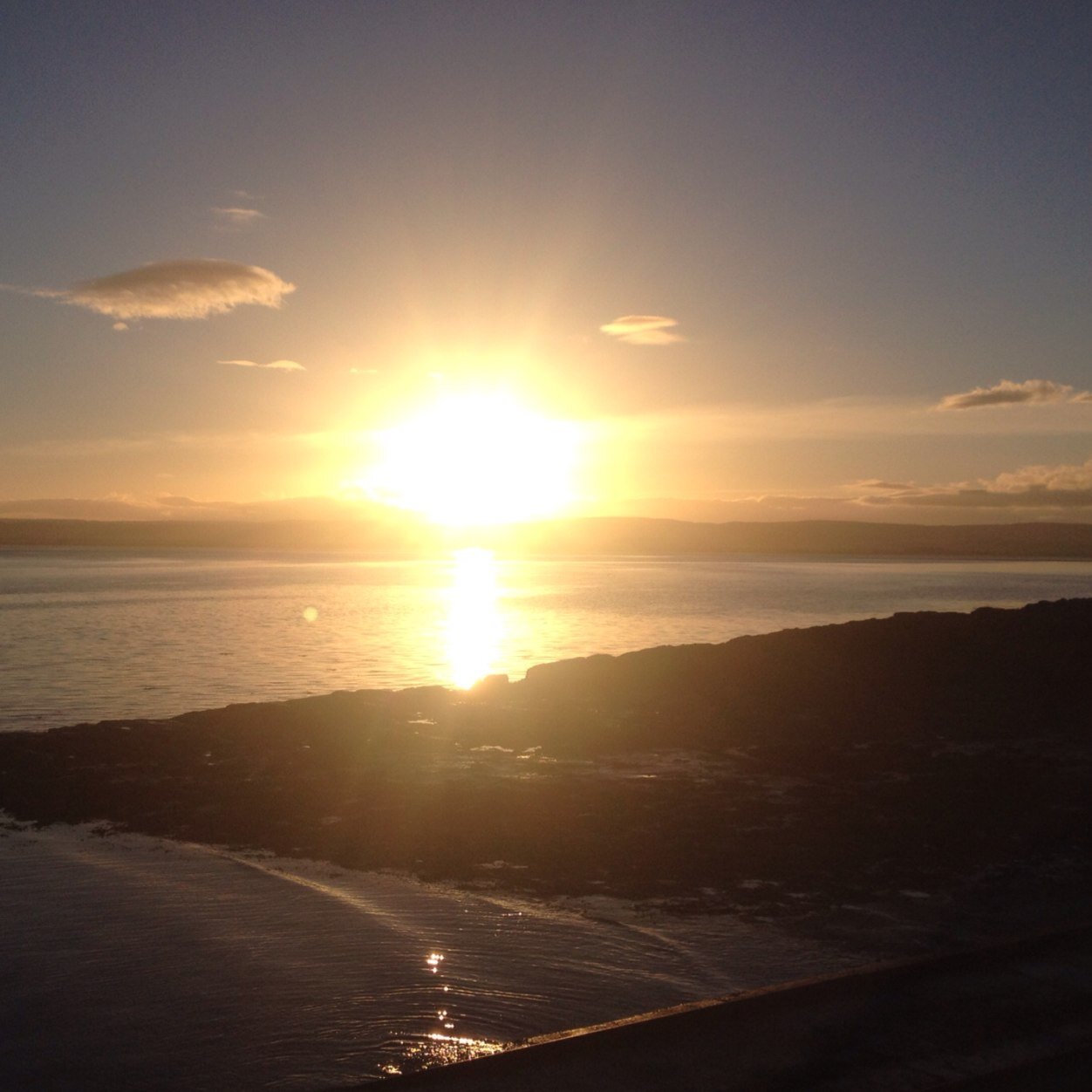 ElainePlayfair's profile picture. 