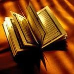 mukadderdalga's profile picture. 