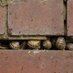 Sheffield Cohousing (@shefcohonet) Twitter profile photo