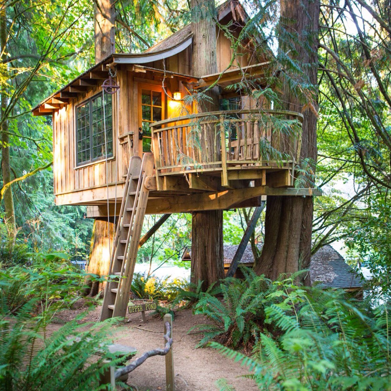 Best Tree Houses In The World