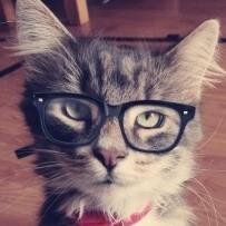 “Tomorrow may be hell, but today was a good writing day, and on the good writing days nothing else matters.” 
― Neil Gaiman