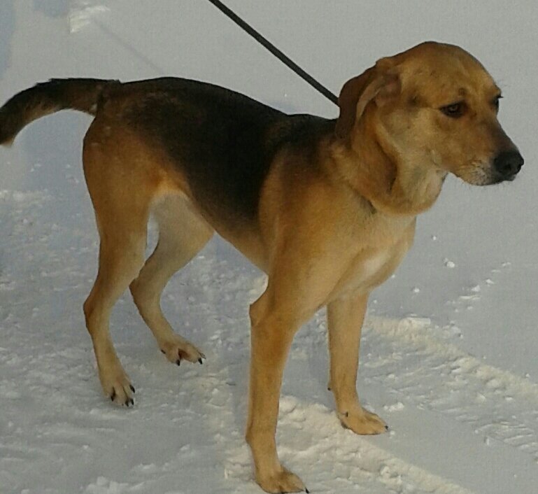 Retired, quiet person, a good sense of humor, loves animals, books, movies, music and good conversation.  Have two dogs which I love very much.
