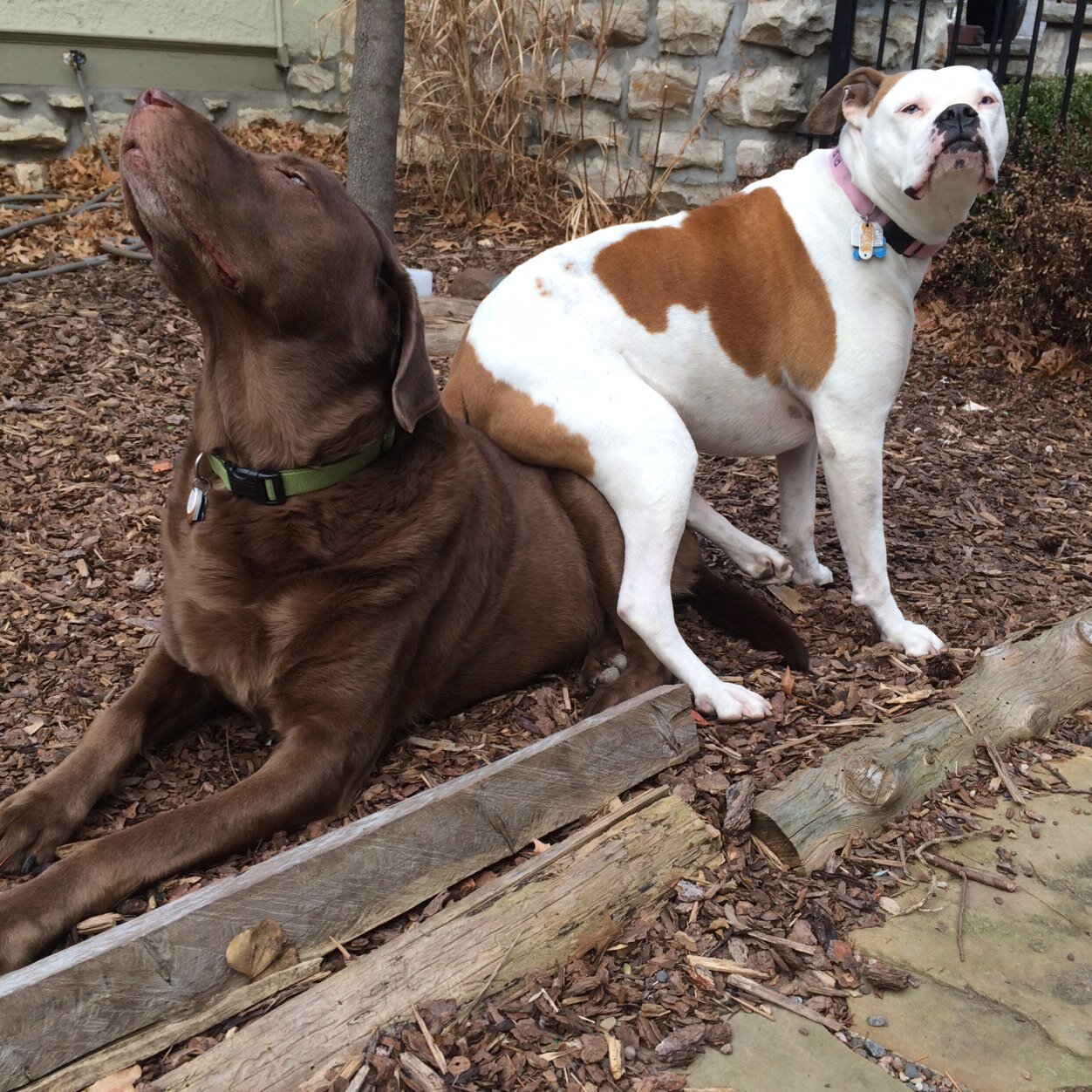 nicoleglazier's profile picture. 