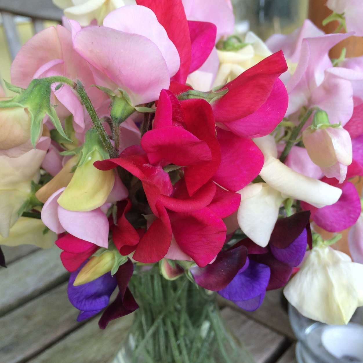 hets100's profile picture. 