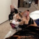 TCpharmer's profile picture. 