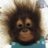 Leonchevsnr16j's profile image