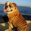 English Teachers Pet - @TheETeachersPet - Twitter