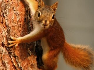 jenoxefaaf68's profile picture. Настоящий друг не тот, который разделит с тобой беду, а тот, который не захлебнётся от зависти, когда ты счастлив!