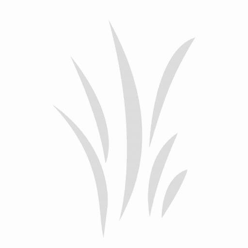 Sharing Hope  -  Caring For People
