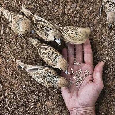 الي بخاطري أقوله ما دمت مقتنع ولا يهمني أحد ..