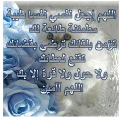 androidphone918's profile picture. ‏لن تكبر دون أن تتألم، ولن تتعلم دون أن تخطئ، ولن تنجح دون أن تفشل، هكذا هي الحياة!