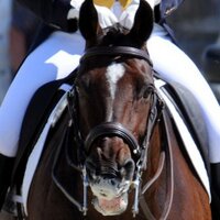 Shiwon Green (@fenlandz) 's Twitter Profile