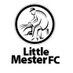 Little Mester FC (@mesterfc) Twitter profile photo