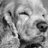 pepinabeatriz's profile image
