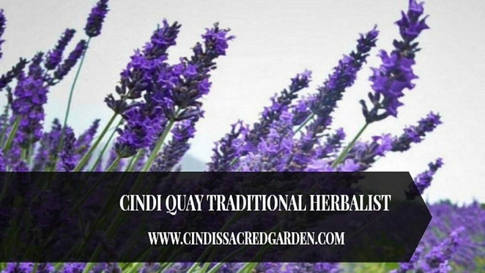 Traditional Organic Skin Care & Herbal Health Apothecary