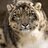 Theo_Escalona's profile image