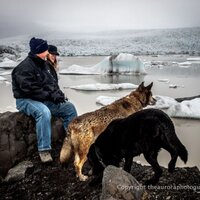 Doug Bowling (@doug_dwbinsc) 's Twitter Profile