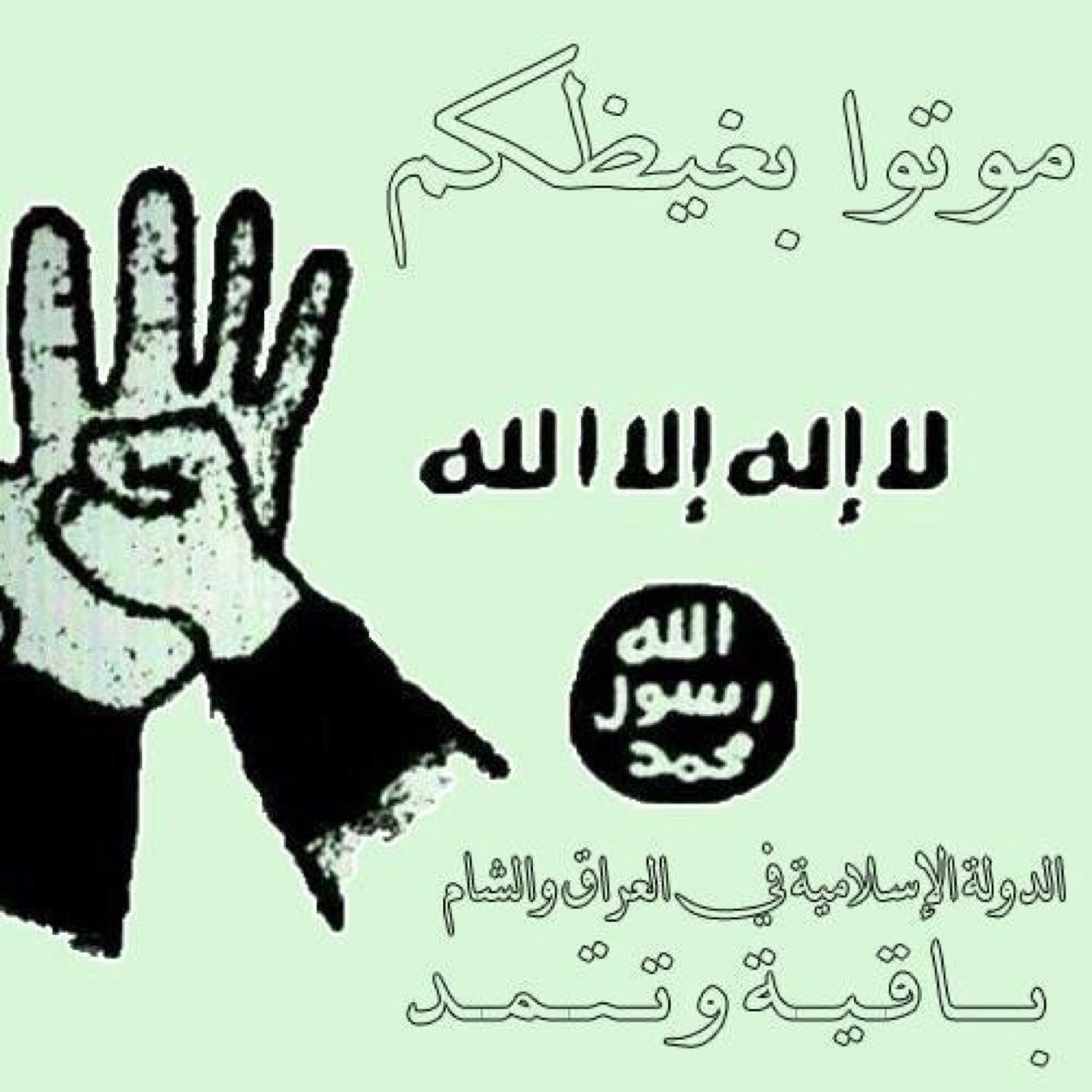 seef_waleed's profile picture. 