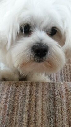 waynep69's profile picture. 