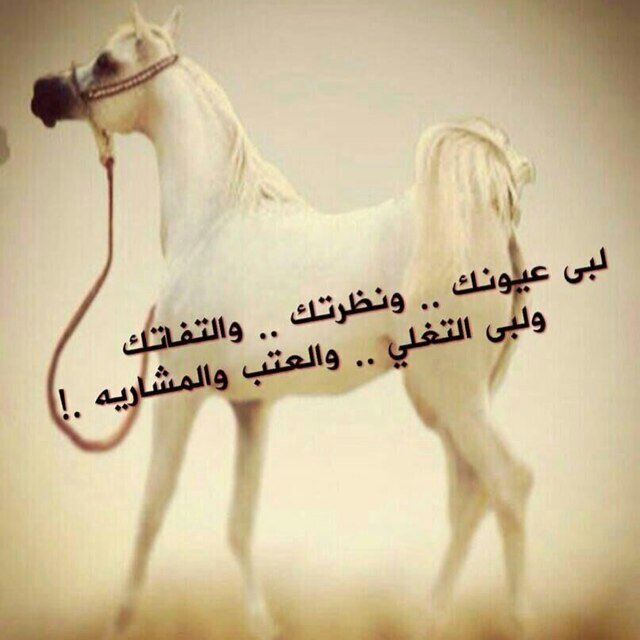 ما نجهل الدنيا ولا نعلم الغيب $٪$ مير الزمان ،، إليا تمايل تمايل