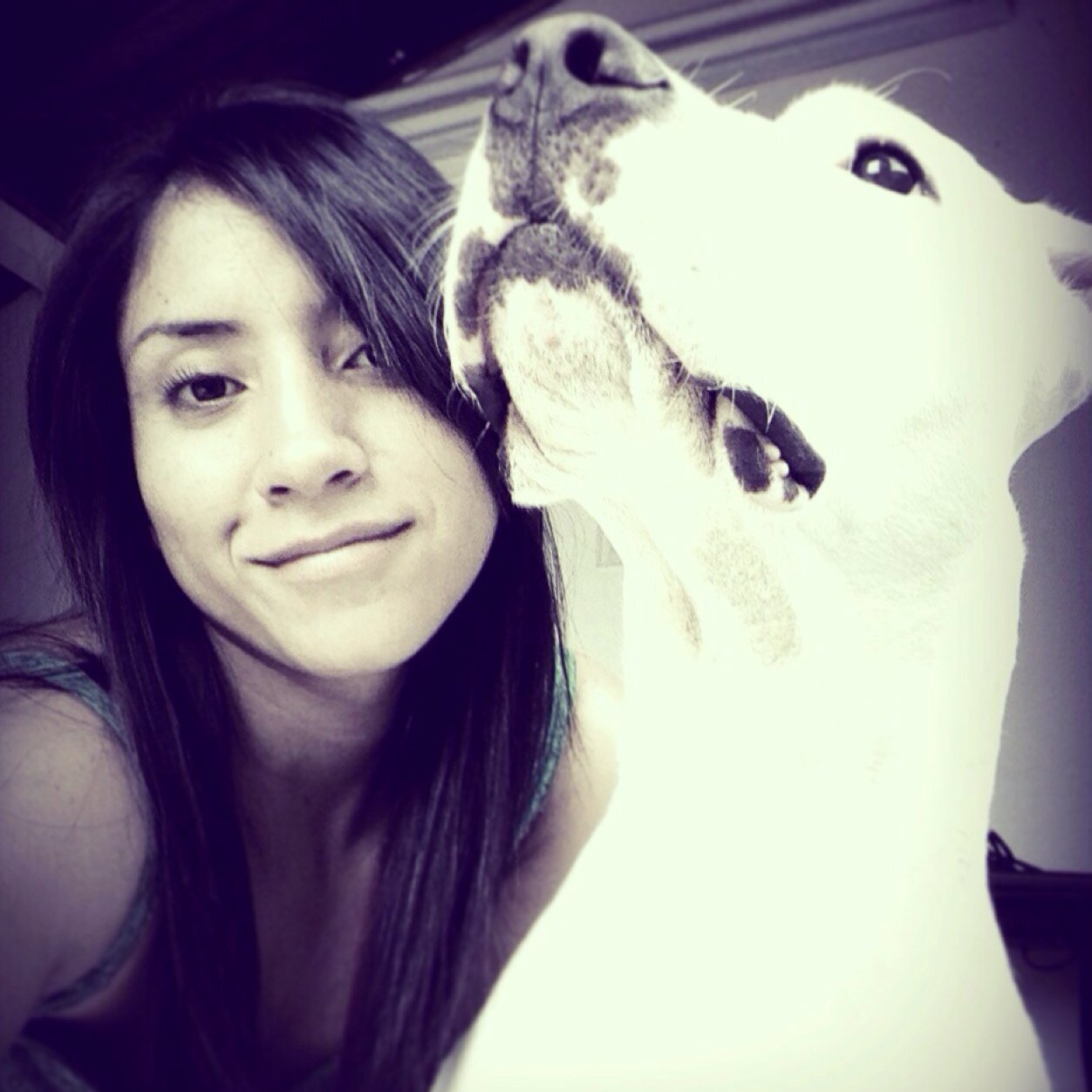 SanOspina's profile picture. Me gusta leer de todo un poco y estar informada. Aprecio el buen sarcasmo!!