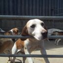 michele read - @harellsa - Twitter