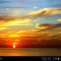 Anniroc2006's profile picture. 