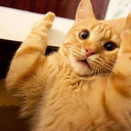 eugeniosaravi86's profile picture. Experto en pizzas.