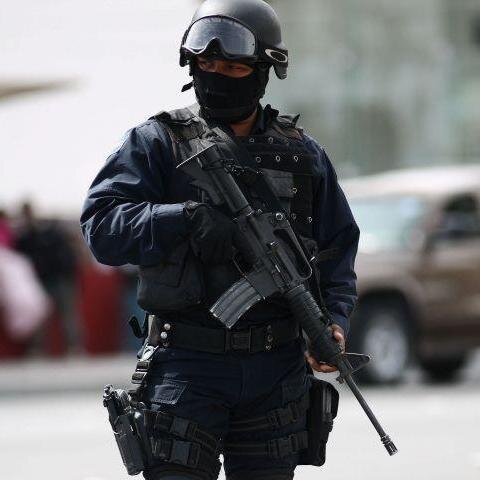 informações policiais diárias