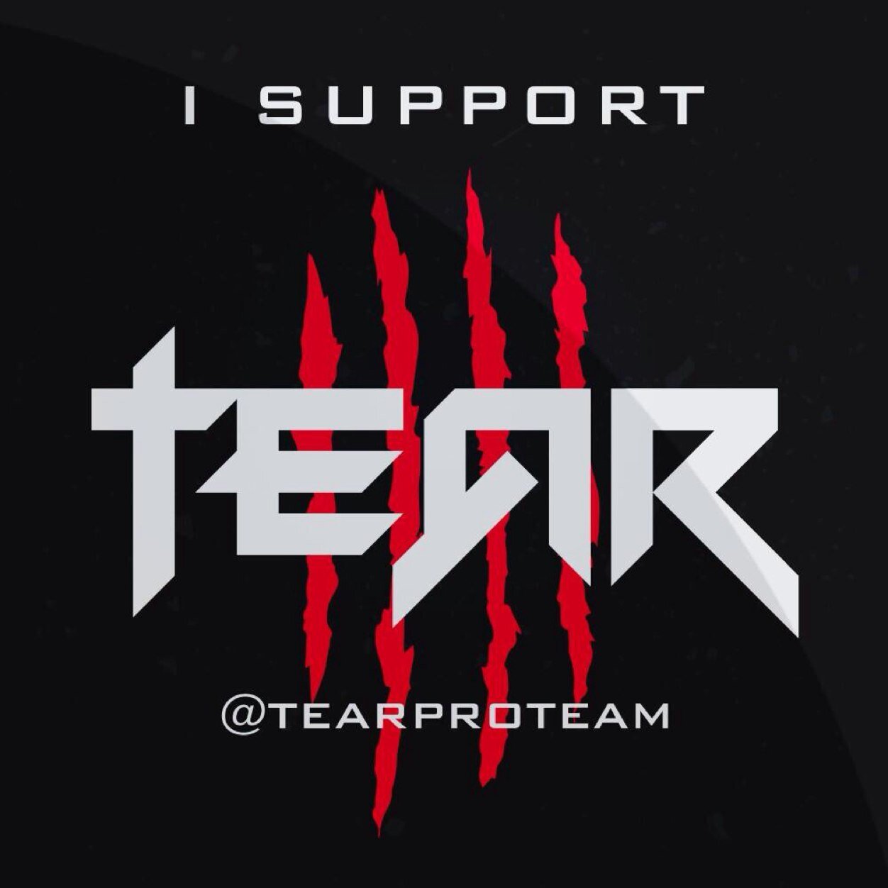 Official twitter of Team TeaR. Roster -