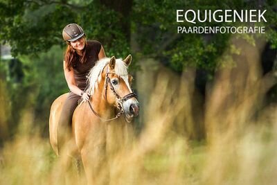 Bijna 750 volgers! Gek geboren, gek gebleven, gek op paarden al heel me leven!