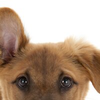 Adam J (@giftednapper) 's Twitter Profile Photo Adam J (@giftednapper) 's Twitter Profile Photo