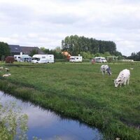 Friesveenweidevlees (@friesweidevlees) 's Twitter Profile